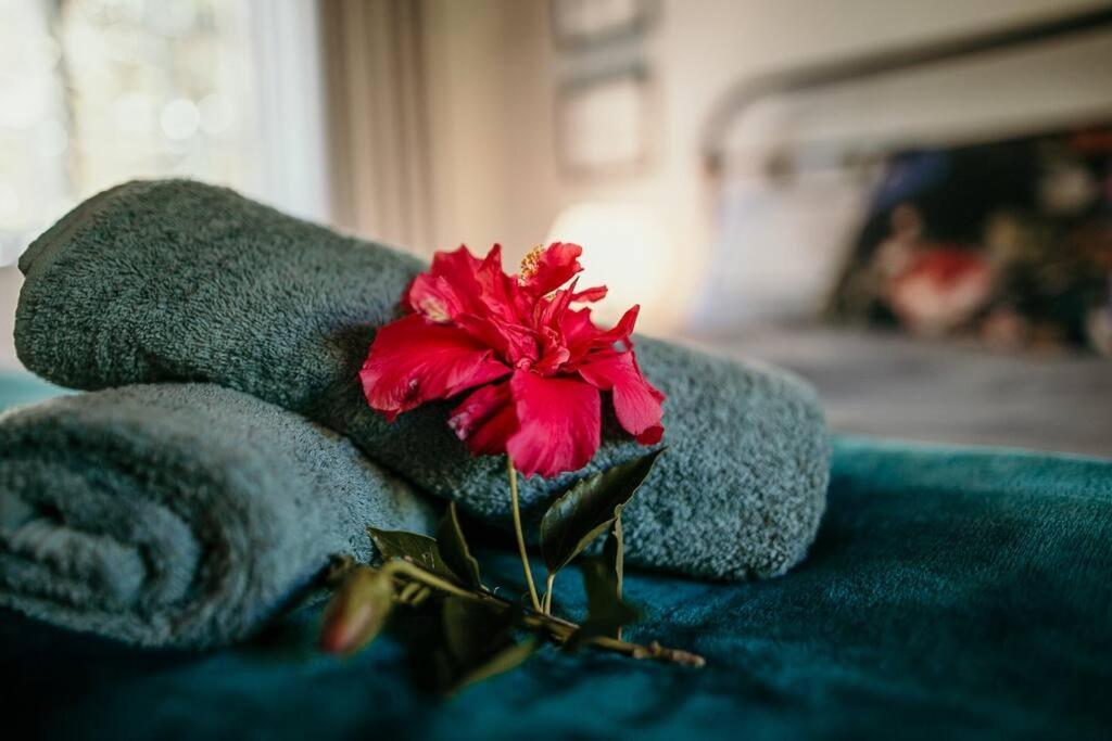 Classic Greyton Cottage For Two 외부 사진