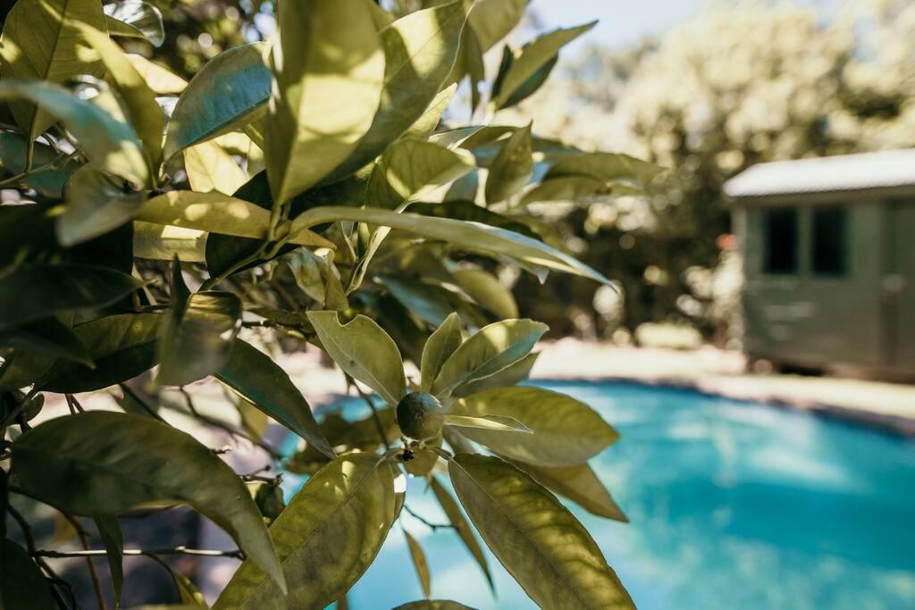 Classic Greyton Cottage For Two 외부 사진